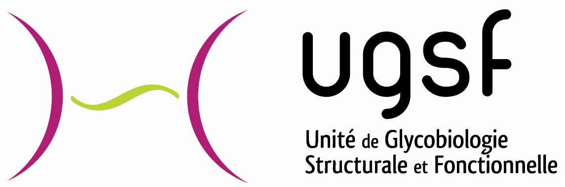 Seminar - UGSF